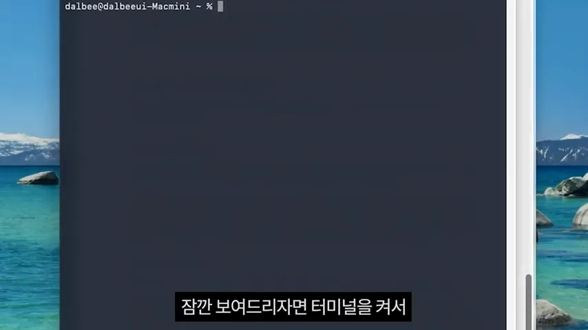 buddy 실제 시연