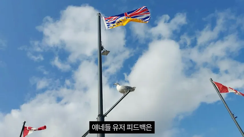 본진 놔두고 멀티만 퍼뜨리는 클로드